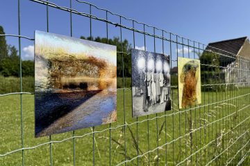 Phestival_historique_0023